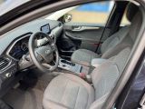 Ford Kuga bei Sportwagen.expert - Abbildung (4 / 11)