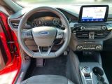 Ford Kuga bei Sportwagen.expert - Abbildung (14 / 15)