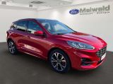 Ford Kuga bei Sportwagen.expert - Abbildung (2 / 15)