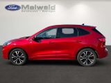 Ford Kuga bei Sportwagen.expert - Abbildung (6 / 15)