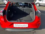 Ford Puma bei Sportwagen.expert - Abbildung (6 / 15)