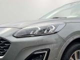 Ford Kuga bei Sportwagen.expert - Abbildung (4 / 15)