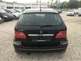 Mercedes-Benz B-Klasse bei Sportwagen.expert - Abbildung (12 / 15)