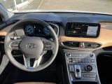 Hyundai Santa Fe bei Sportwagen.expert - Abbildung (15 / 15)