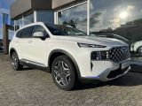 Hyundai Santa Fe bei Sportwagen.expert - Abbildung (2 / 15)