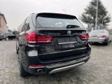 BMW X5 bei Sportwagen.expert - Abbildung (6 / 15)