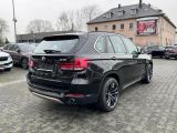 BMW X5 bei Sportwagen.expert - Abbildung (9 / 15)