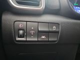 Kia Sportage bei Sportwagen.expert - Abbildung (14 / 15)