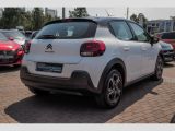 Citroen C3 bei Sportwagen.expert - Abbildung (4 / 15)