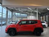 Jeep Renegade bei Sportwagen.expert - Abbildung (8 / 15)