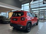 Jeep Renegade bei Sportwagen.expert - Abbildung (5 / 15)