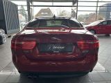 Jaguar XE bei Sportwagen.expert - Abbildung (6 / 15)