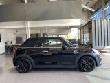 Mini Cooper bei Sportwagen.expert - Abbildung (4 / 15)