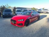 Audi RS 5 bei Sportwagen.expert - Abbildung (3 / 15)
