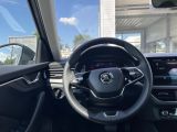Skoda Kamiq bei Sportwagen.expert - Abbildung (6 / 8)