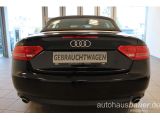 Audi A5 Cabriolet bei Sportwagen.expert - Abbildung (3 / 15)