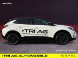 Opel Grandland X bei Sportwagen.expert - Abbildung (2 / 15)