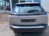 Peugeot 2008 bei Sportwagen.expert - Abbildung (6 / 15)