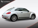 VW Beetle bei Sportwagen.expert - Abbildung (3 / 15)