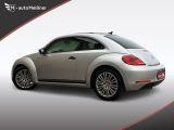 VW Beetle bei Sportwagen.expert - Abbildung (4 / 15)