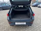 Cupra Leon bei Sportwagen.expert - Abbildung (5 / 15)