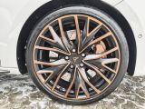 Cupra Leon bei Sportwagen.expert - Abbildung (5 / 15)