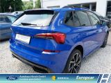 Skoda Kamiq bei Sportwagen.expert - Abbildung (6 / 15)