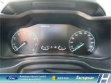 Ford Tourneo bei Sportwagen.expert - Abbildung (15 / 15)