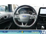 Ford EcoSport bei Sportwagen.expert - Abbildung (11 / 15)