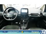 Ford EcoSport bei Sportwagen.expert - Abbildung (14 / 15)