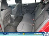 Ford Focus Turnier bei Sportwagen.expert - Abbildung (9 / 15)