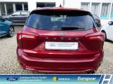 Ford Focus Turnier bei Sportwagen.expert - Abbildung (5 / 15)