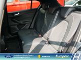 Ford Focus ST bei Sportwagen.expert - Abbildung (12 / 15)