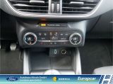 Ford Focus Turnier bei Sportwagen.expert - Abbildung (15 / 15)