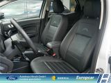 Ford EcoSport bei Sportwagen.expert - Abbildung (9 / 15)