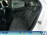Ford EcoSport bei Sportwagen.expert - Abbildung (10 / 15)