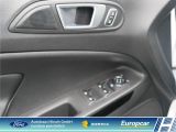 Ford EcoSport bei Sportwagen.expert - Abbildung (7 / 15)