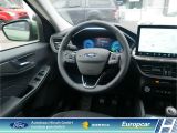 Ford Kuga bei Sportwagen.expert - Abbildung (14 / 15)