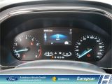 Ford Focus Turnier bei Sportwagen.expert - Abbildung (14 / 15)