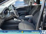 Ford Focus Turnier bei Sportwagen.expert - Abbildung (7 / 15)