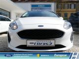 Ford Fiesta bei Sportwagen.expert - Abbildung (2 / 15)