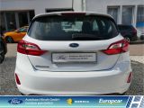 Ford Fiesta bei Sportwagen.expert - Abbildung (5 / 15)