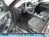 Ford Kuga bei Sportwagen.expert - Abbildung (6 / 15)