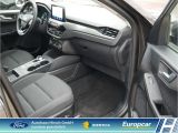 Ford Kuga bei Sportwagen.expert - Abbildung (9 / 15)