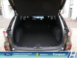 Ford Kuga bei Sportwagen.expert - Abbildung (5 / 15)