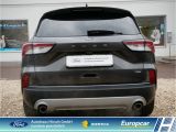 Ford Kuga bei Sportwagen.expert - Abbildung (4 / 15)