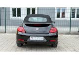 VW Beetle bei Sportwagen.expert - Abbildung (6 / 15)