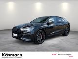 Audi SQ8 bei Sportwagen.expert - Abbildung (2 / 15)