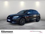 Audi SQ5 bei Sportwagen.expert - Abbildung (2 / 15)