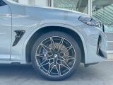 BMW X4 M bei Sportwagen.expert - Abbildung (2 / 15)